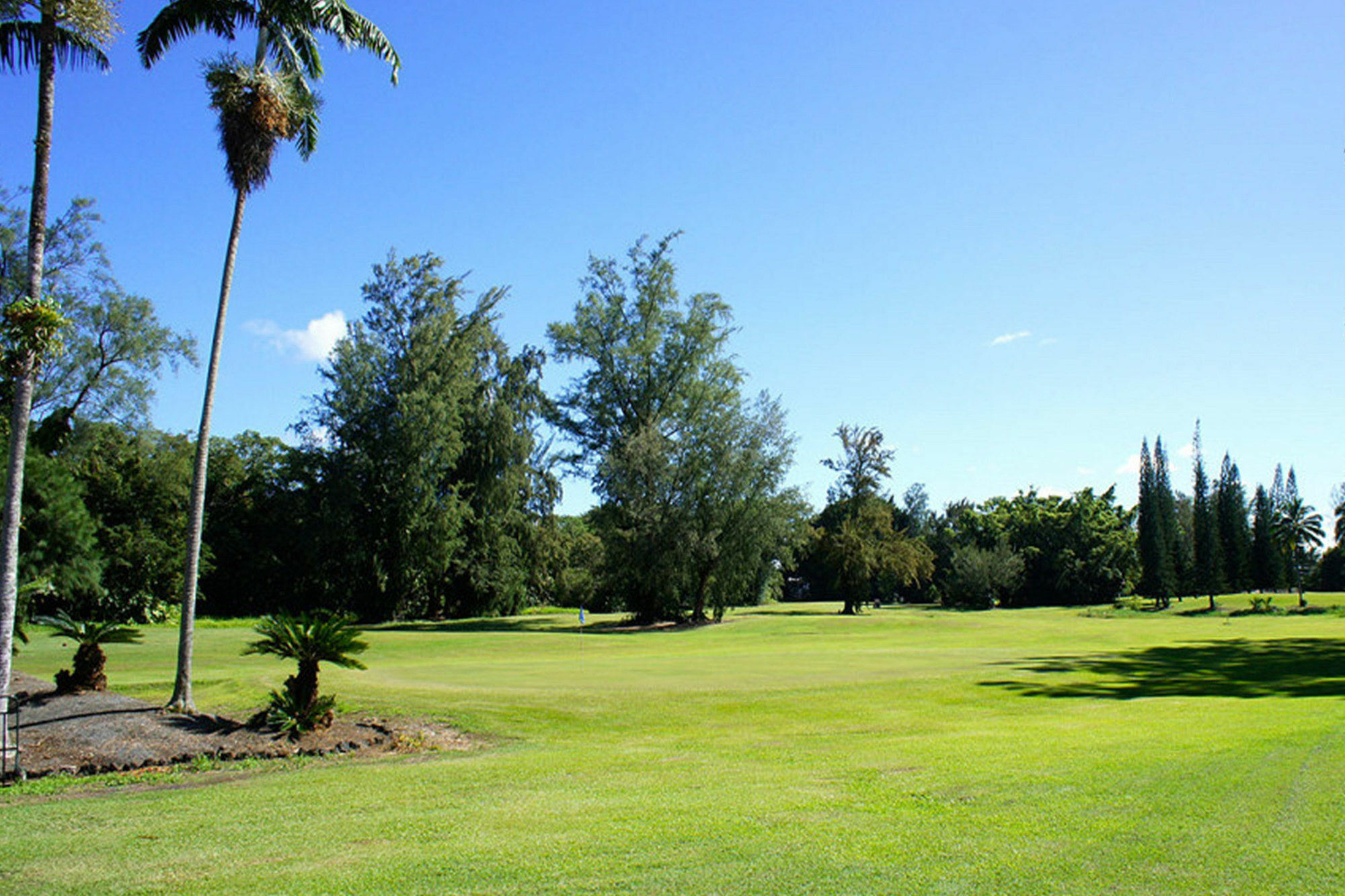 Grand Naniloa Hotel, A Doubletree By Hilton Hilo Dış mekan fotoğraf